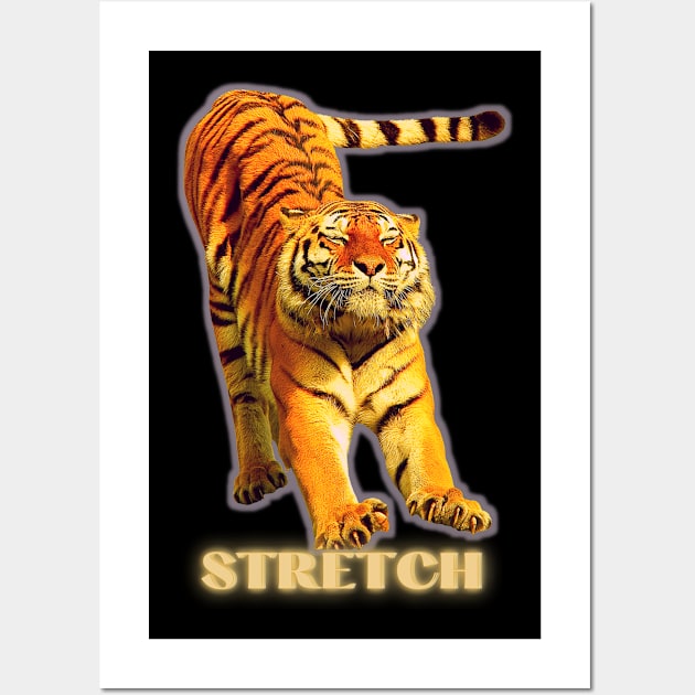 Large tiger doing a stretch exercise - silver gold 1 Wall Art by Blue Butterfly Designs 